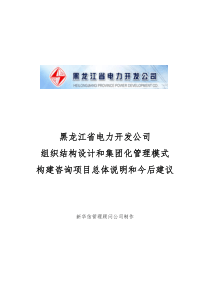 电力开发公司咨询项目--总体说明和今后建议