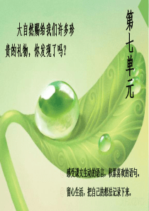 21-大自然的声音