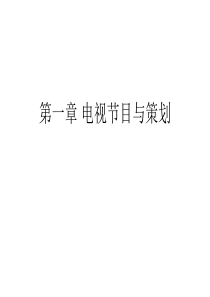 第一二章-电视节目策划与定位..