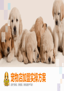宠物店创业ppt课件
