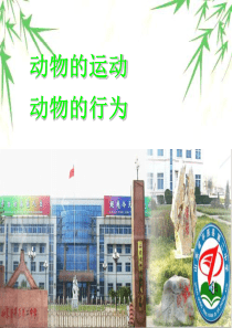 【生物课件】八年级生物上册第二章动物的运动和行为复习