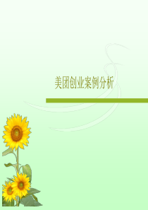 美团创业案例分析23页PPT