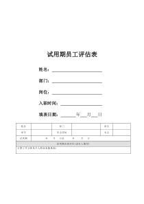 试用期员工评估表