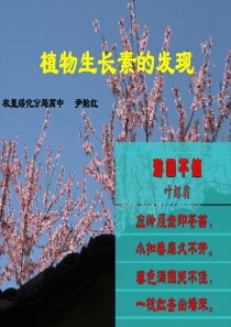第1节植物生长素的发现ppt