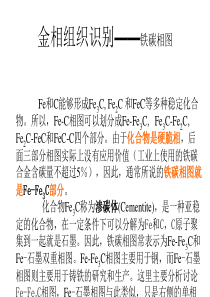 金相组织识别——铁碳相图