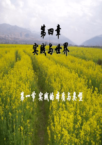 马克思主义哲学课件：实践及其基本特征和基本形式.ppt