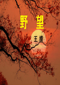 野望(优秀)ppt课件