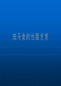 斑马鱼的性腺发育(201210238473139)