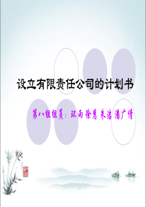 设立有限责任公司的计划书