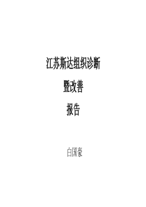 江苏斯达组织诊断暨改善报告