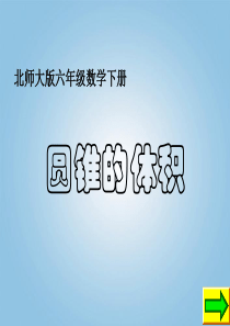 六年级数学下册 圆锥的体积3课件 北师大版