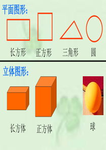 苏教版六年级数学下册圆柱和圆锥的认识1