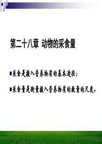 动物的采食量