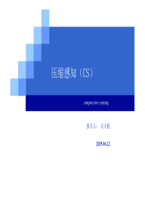 2019年最新-压缩感知CS-精选文档