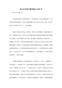 电力公司实习报告范文2000字