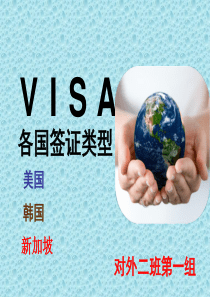 国际礼仪签证