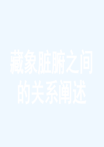 藏象脏腑之间的关系阐述