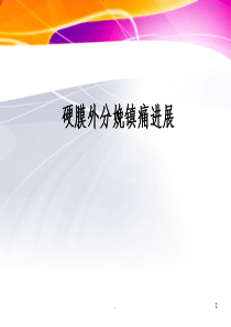 硬膜外无痛分娩新进展ppt课件