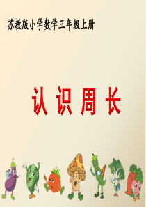 苏教版三上《认识周长》教学课件