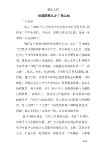 初级职称认定工作总结