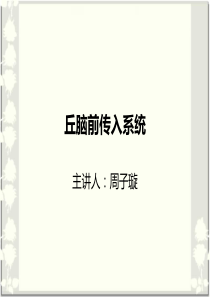 丘脑前传入系统