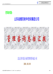 管理咨询总括汇报(2)