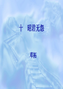 十--昭君无怨