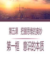 意识的本质PPT完美课件1