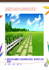 画一幅色彩和谐的画课件-