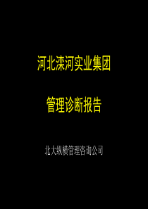 滦河集团管理诊断报告