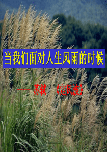 (完整版)定风波优秀课件公开课