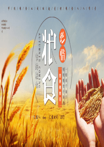 世界粮食日珍惜粮食PPT模板