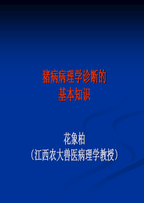 猪病病理学诊断的基本知识