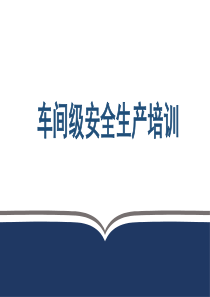 新员工三级安全教育(车间级)
