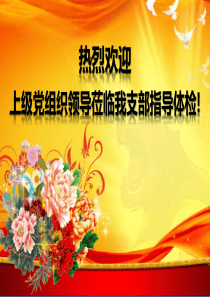 党支部汇报PPT
