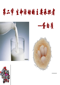 生命活动的主要承担着——蛋白质(共43张PPT)