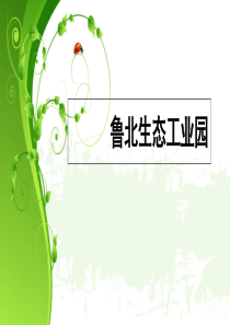 鲁北生态工业园概况