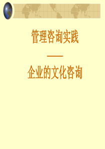 管理咨询实践企业的文化咨询(ppt 129) 