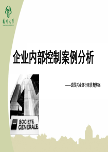 审计学-内部控制失败案例-法新银行