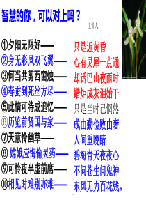 《锦瑟》(优秀课件)
