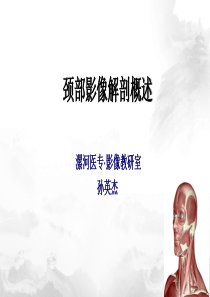 颈部解剖概述