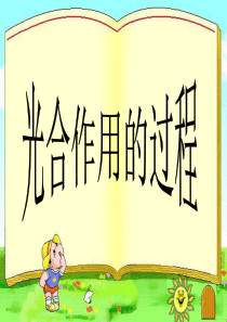 《光合作用的过程》PPT课件