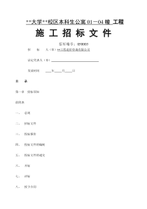 大学宿舍楼项目施工招标文件
