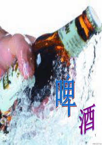 青岛啤酒节策划方案PPT幻灯片课件