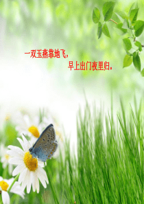 六年级下册美术漂亮的鞋苏少版