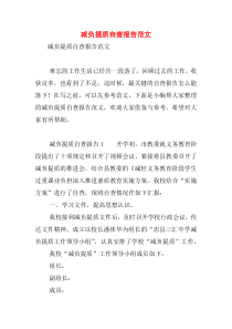 减负提质自查报告范文