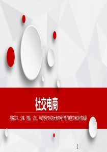 社交电商案例分析ppt课件