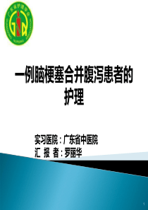 个案护理PPT参考幻灯片