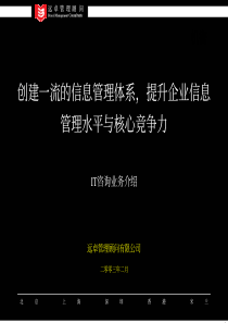 远卓-IT业务咨询框架