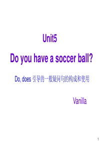 do和does疑问句微课ppt课件